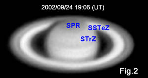 fig2.jpg